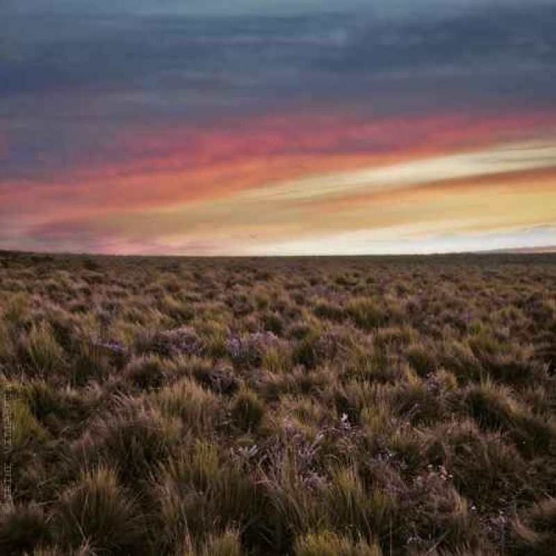 patagonia.jpg